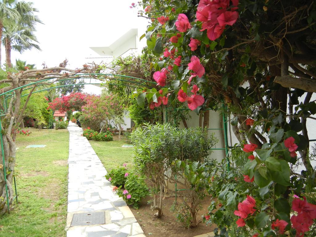 Tsialis Hotel Apartments Larnaca Eksteriør billede