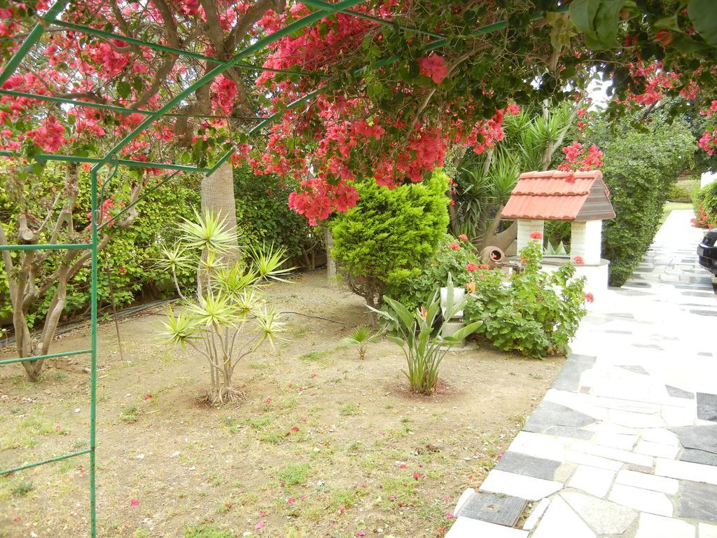 Tsialis Hotel Apartments Larnaca Eksteriør billede