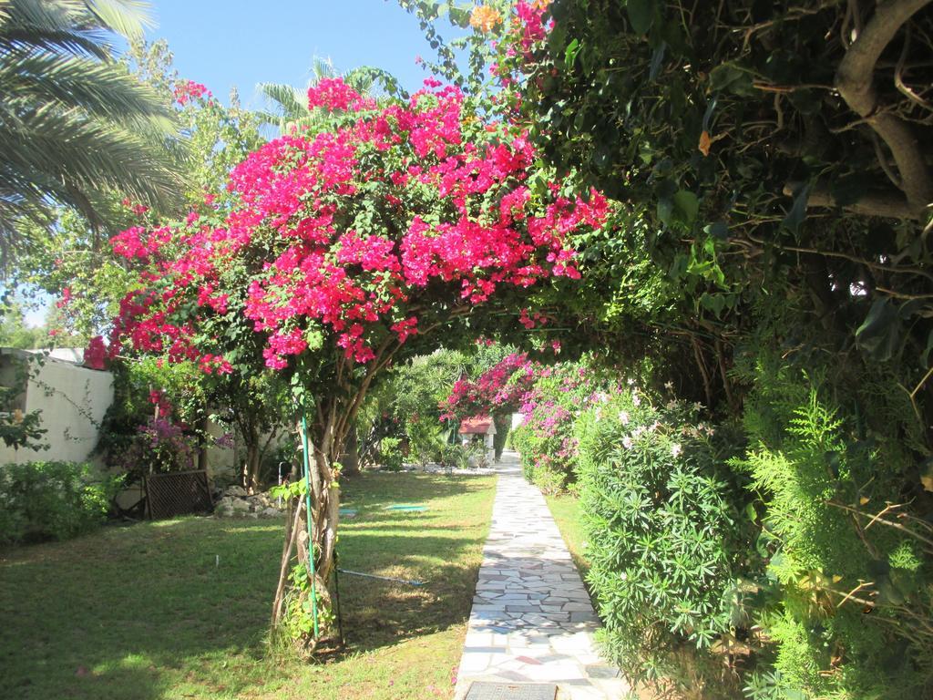 Tsialis Hotel Apartments Larnaca Eksteriør billede