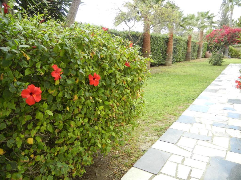 Tsialis Hotel Apartments Larnaca Værelse billede