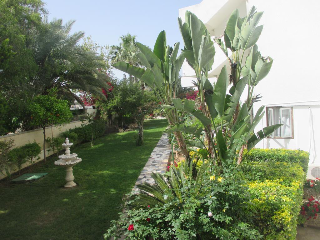 Tsialis Hotel Apartments Larnaca Eksteriør billede